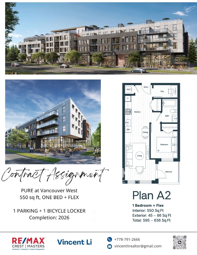 250515224348_Pure Poster 1.jpg